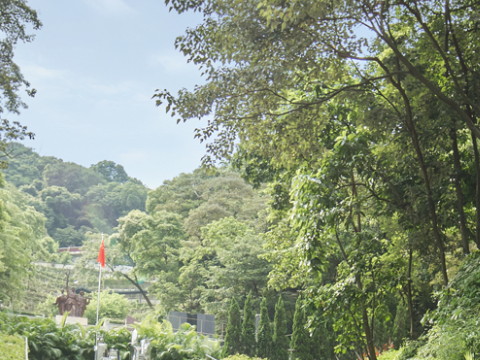 广东怎样买墓地