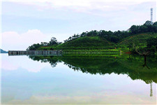 Zanglie