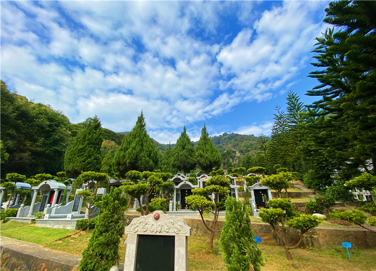龙庭宝座Ｉ