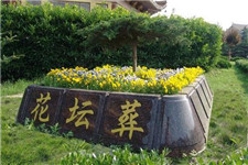 花坛葬 花坛葬