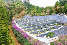 广东墓地 广东墓地